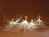 Dance...