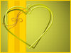 Forever