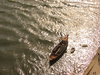 Wineboat
