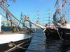 Masts 2