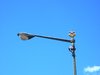 Streetlights 1