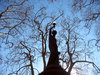 Trees & freedom 1