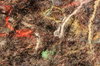 Textile texture