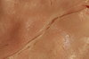 Food texture: Fresh boiled ham