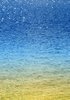 Tropical waters