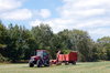 Harvesting 1