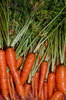 carrots!