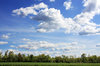 Summer Landscape