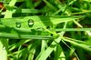 Droplets 4