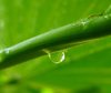 Raindrop