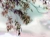 Abstract Magical Skies