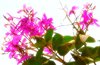 Springtime