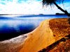 Paradise 3
