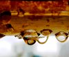 Raindrops Gathering