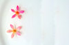 Tiny Pink Blossoms