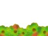 Floral Border 2