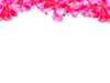 Floral Border 4