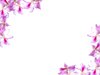 Floral Border 10