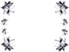 Floral Border 11