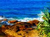Beautiful Shore
