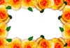Floral Border  15