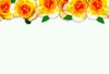 Floral Border  17