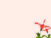Floral Border 6