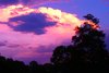 Glorious Sky