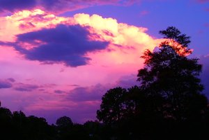 Glorious Sky
