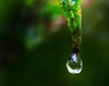 Raindrop - About To Fall
