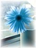 Blue Flower