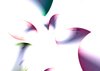 Floral Abstract Shapes