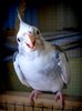 Are You Talkin' To Me 2