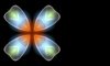 Gossamer Flower