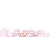 Border of Flowers and Circles 