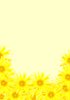 Floral Border 37