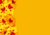 Floral Border 36
