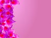 Floral Border 44