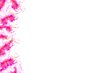 Floral Border 46