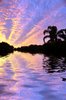 Tropical Waters 3