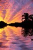 Tropical Waters 1