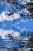Water Scene 4