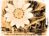 Grunge Daisy