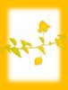Spring Branch 3