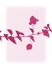Spring Branch 1