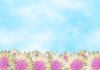 Flower Border 2
