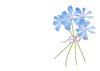 Spring Flowers Background 1