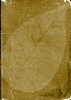 Parchment Background 2
