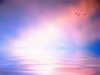 Flight Over Water 3