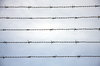 Wire fenced detail 2
